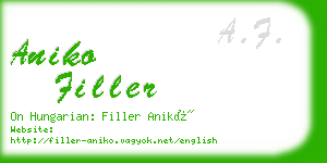 aniko filler business card